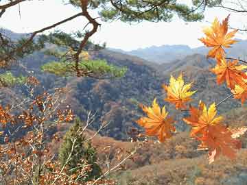 最新汽车氛围灯引领照明新潮流